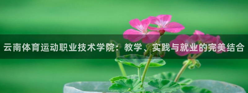 尊龙官网下载招商电话是多少啊:云南体育运动职业技术学院:教学