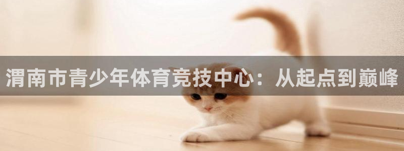 尊龙官网下载平台注册:渭南市青少年体育竞技中心:从起点到巅峰