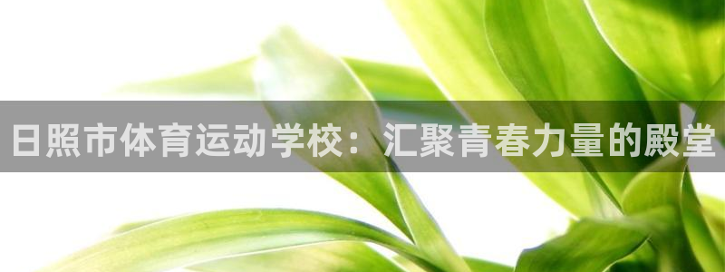 尊龙官网下载招商电话号码是多少:日照市体育运动学校:汇聚青春