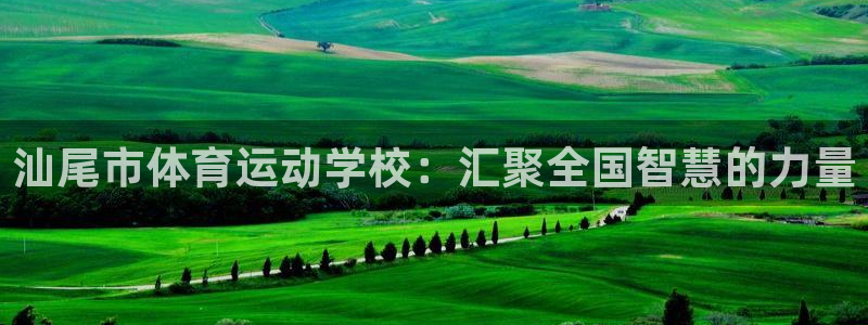 尊龙官网下载联系电话:汕尾市体育运动学校:汇聚全国智慧的力量