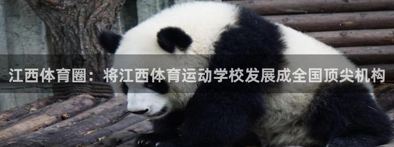 尊龙官方正版app官方:江西体育圈:将江西体育运动学校发展成